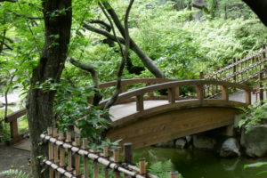Wooden-bridge-and-bamboo-fencing