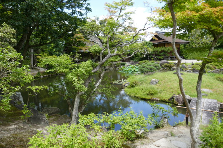 Garden in Japan