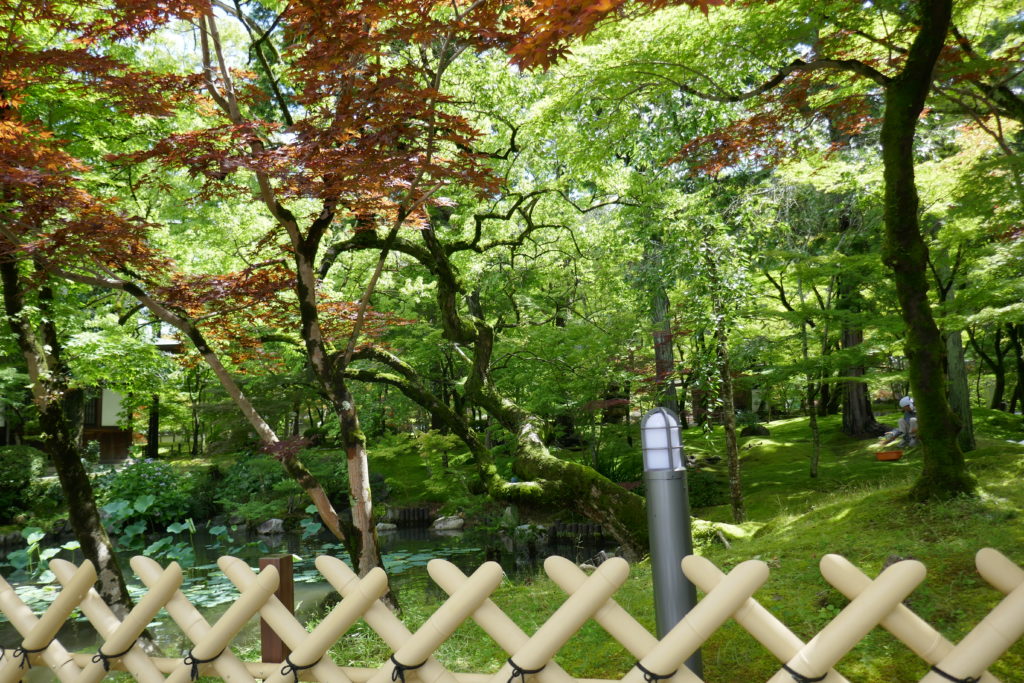 Bamboo fence edging Eikando garden