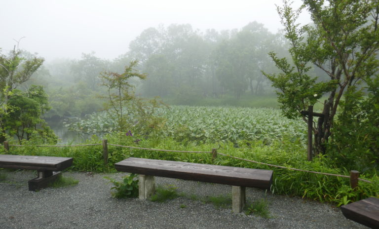 Seats are scattered through the gardens at various vantage points
