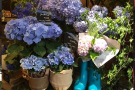 Blue-floral-display