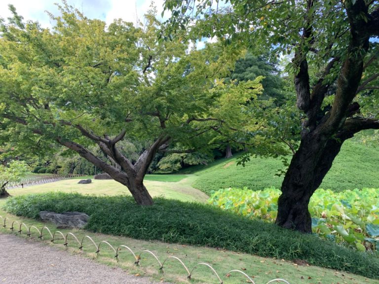 Garden-in-Tokyo